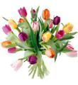 20 Stem Mixed Tulip Bouquet