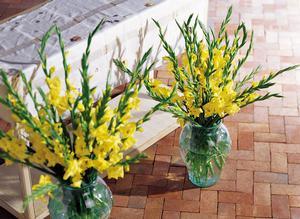 The FTD? Gladiola Altar Arrangement